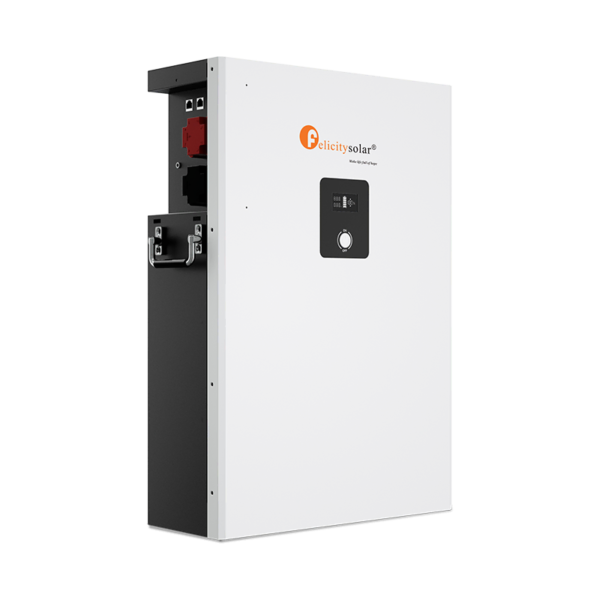 Felicity LPBF48200-H Lithium Battery Lithium Battery